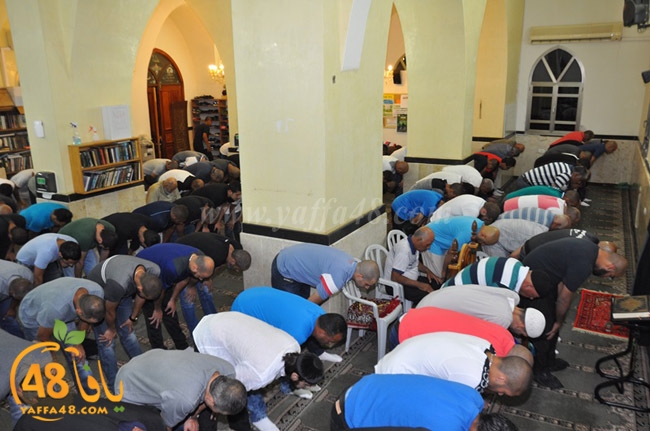 traw7 jabalayaua (9).JPG